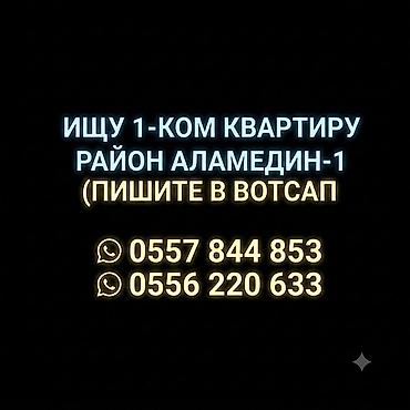 Ищу 1‑комнатную квартиру в районе Аламедин‑1. Предпочтительно с