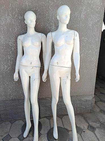 Манекены для витрин и фотосъёмки.Полноразмерные 3000с
Торсы 1500с at lalafo.kg Манекены для витрин и фотосъёмки.Полноразмерные 3000с
Торсы 1500с