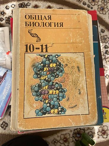 Книги и журналы: Учебники для средней школы (КР) Комплект школьных пособий: - «Көркем — 10