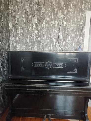 musiqi aleti type 1: Ağac korpuslu, klassik üslubda akustik piano. Dik (upright) modeldir — 1