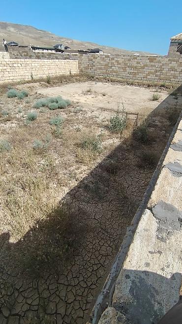 lokbatanda torpaq satışı: 2 sot, Kupça (Çıxarış) — 1
