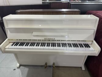 Pianolar: Piano, Petrof, Akustik, Yeni, Pulsuz çatdırılma — 2