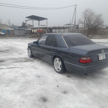 газ волга 31105: Mercedes-Benz W124: 1995 г., 3.2 л, Автомат, Бензин, Бус