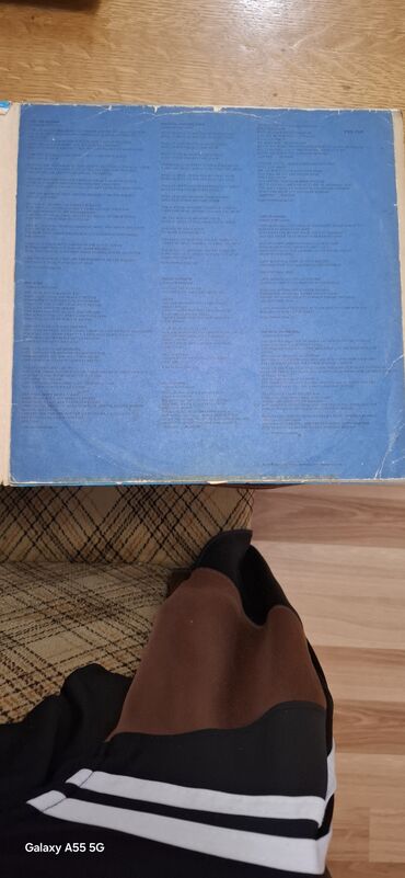 Vinil ploče: Vinil ploče – 2 komada (LP) 1) The Beach Boys – 20 Golden Greats — 9