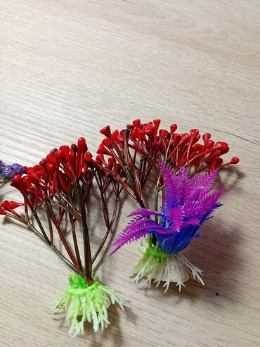 Akvariumlar: Akvaryum uzunluqu 70 eni 26 hündürlüy 46 dı boş 40 man dekor və otlar — 2