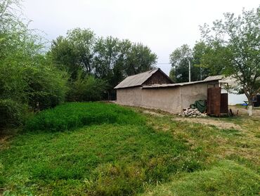 дом асабняк: 11 соток, Айыл чарба үчүн, Кызыл китеп
