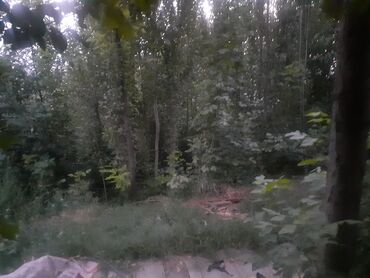 Продажа домов: Дом, 67 м², 4 комнаты, Собственник, ПСО (под самоотделку) at lalafo.kg — 9 Продажа домов: Дом, 67 м², 4 комнаты, Собственник, ПСО (под самоотделку) — 9