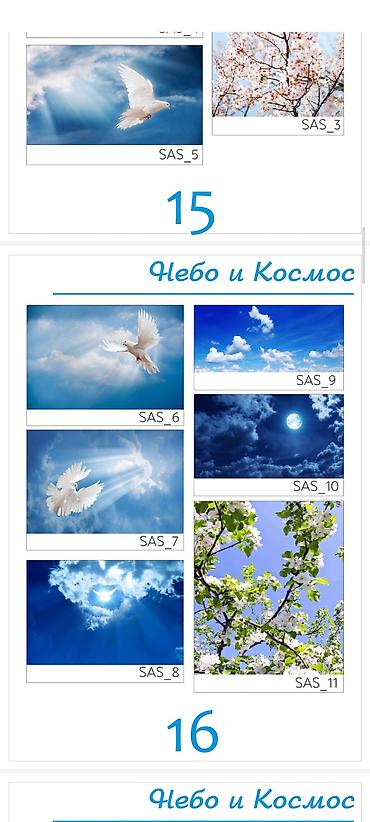Шаблоны: Каталог орнаментов и розеток для декора - Более 60 вариантов круглых — 8