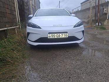 kreditle byd: BYD Qin Plus (sedan) – Yango brendli taksi üçün bükülü vinil reklam — 7