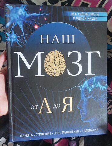 Саморазвитие и психология: Книга: «Книга для будущей леди. Будь уверенной! Будь яркой! Будь — 5
