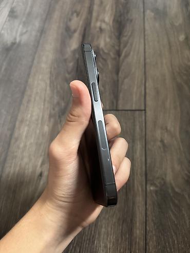 usb iphone: IPhone 15 Pro, 256 GB, Black Titanium, Simsiz şarj, Face ID — 4
