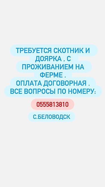 agro hr: Вакансияскотник доярка с проживаниемцена договорная по всем — 1