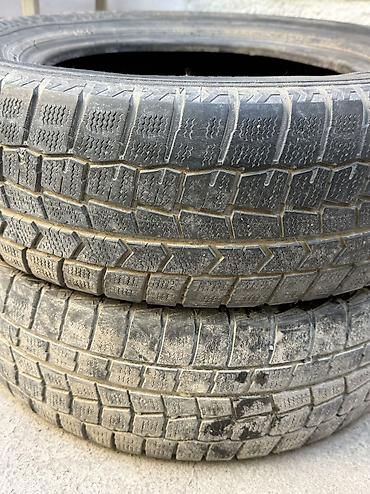 dunlop шины: Шины 195 / 65 / R 15, Зима, Б/у, Пара, Легковые, Dunlop — 3