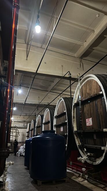 Покраска: Покраска стен, Покраска потолков, Покраска дверей, На масляной основе, На водной основе, Больше 6 лет опыта — 17