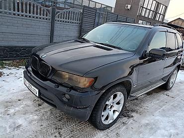 BMW: BMW X5: 2002 г., 3 л, Автомат, Дизель, Внедорожник — 2