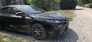 камри двери: Toyota Camry: 2021 г., 2.5 л, Гибрид, Седан — 1