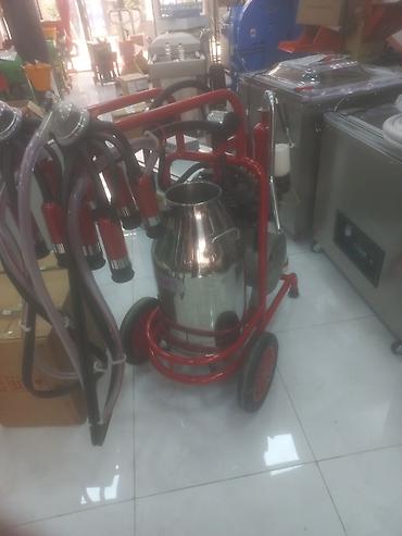 Kənd təssərüfatı avadanlığı: Cüt bidon, Paslanmaz bidon — 1