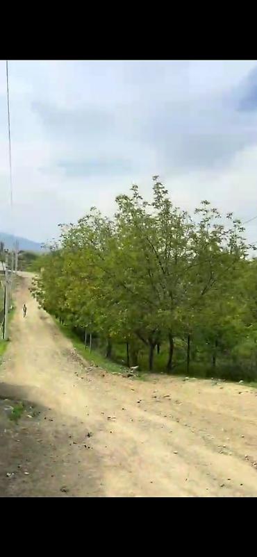 ismayıl: 30 sot, Tikinti, Mülkiyyətçi, Texniki pasport — 7