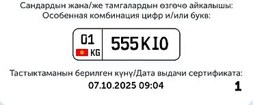 Внешний декор: Особенная комбинация автомобильного номера Кыргызстана: 555 Ki0 — 1