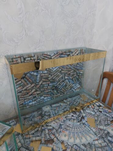 Akvariumlar: Dolar Akvaryum. 22 litir 40 man 35 litir. 60 man 80 litir 90 man Bu — 8