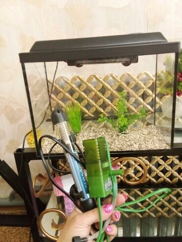 аквариум с рыбами: Аквариум, подсветка, обогреватель для воды,фильтр, рыбий корм