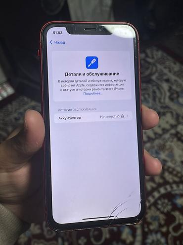 Apple iPhone: IPhone Xr, 64 ГБ, Красный — 4
