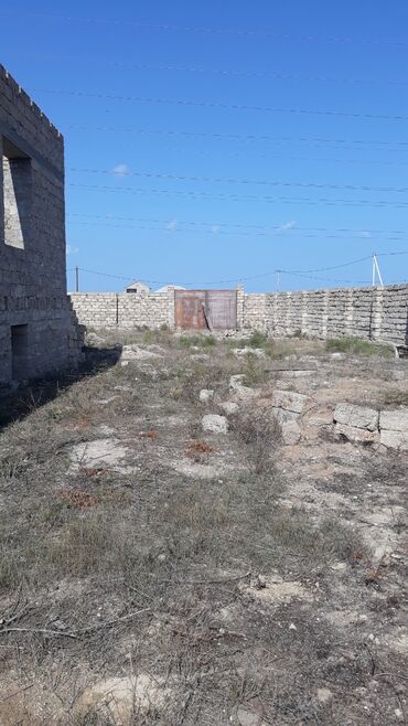 Torpaq sahələrinin satışı: 10 sot -da lalafo.az — 2 Torpaq sahələrinin satışı: 10 sot — 2