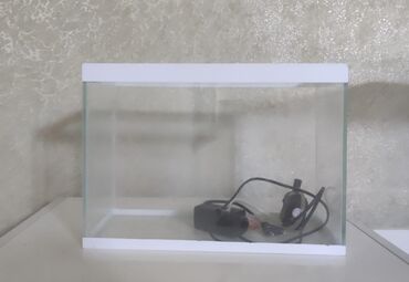 akvarium 120 cm: Akvarium +filtr