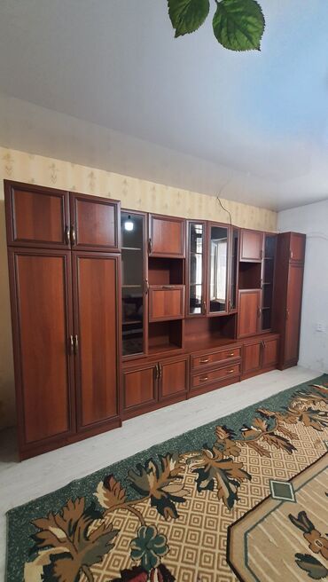 ручные инструменты: Кийим салуучу шкаф, Колдонулган, Түз, ЛДСП