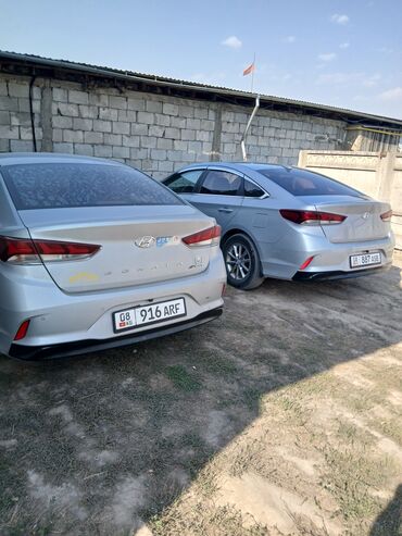 скутеры новые: Hyundai Sonata: 2018 г., 2 л, Автомат, Газ, Седан