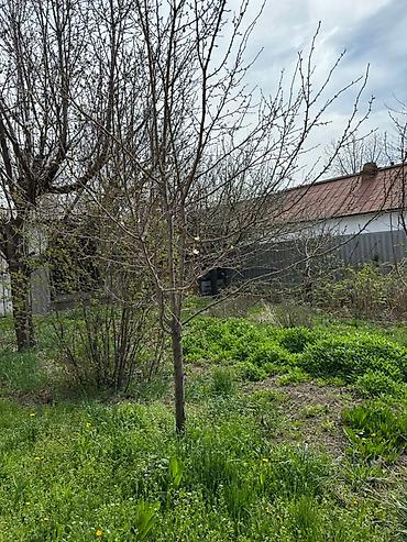 Продажа коттеджей и домов: 🏡 Продается дом в районе Военно-Антоновка (Шевченко) 📐 Площадь: 160 — 8