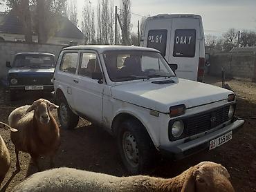 нива ска5: ВАЗ (ЛАДА) 4x4 Нива: 2007 г., Механика, Бензин, Внедорожник — 2