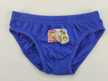 majtki z organicznej bawełny: Panties, 5 years, condition - Fair