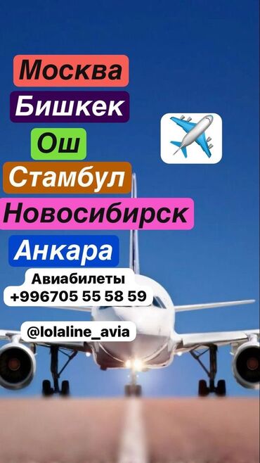 путевка на дубай: Авиабилеты в любую точку мира по приемлемым ценам ✈️ 📲 Москва-Ош