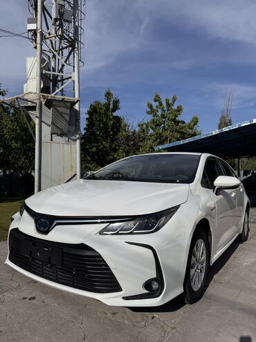 toyota клюгер: Toyota Corolla: 2019 г., 1.8 л, Вариатор, Гибрид, Седан
