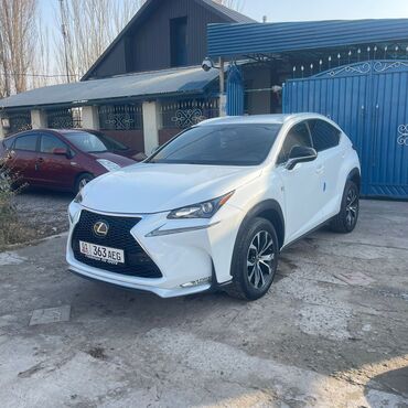 Lexus: Lexus NX: 2017 г., Кроссовер — 14