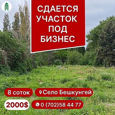 8 соток Для бизнеса, Электричество, Водопровод