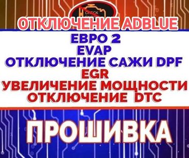 прошивка на евро 2: Компьютердик диагностика, Автоунаа системаларын жөнгө салуу, адаптациялоо, Автоэлектрик кызматтары, баруу менен