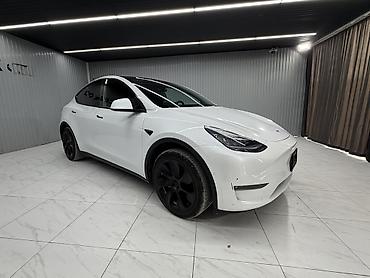 tesla model x: Tesla Model Y: 2021 г., Электромобиль, Кроссовер — 2