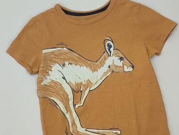 koszulka polo pit bull: T-shirt, Little kids, 7 years, 116-122 cm, condition - Very good