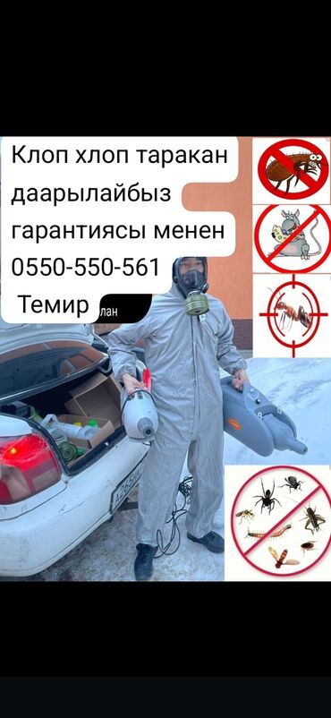 клининговая компания бишкек цены на услуги: Дезинфекциялоо, дезинсекциялоо, | Канталалар, Бүргөлөр, Таракандар, | Транспорт, Офистер, Батирлер