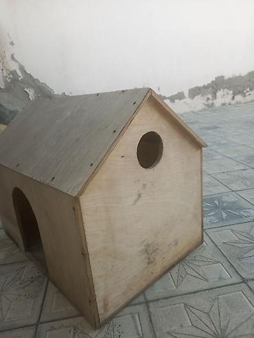 heyvan evləri: Taxta it evi / heyvan evi - Material: keyfiyyətli kontraplakdan — 3