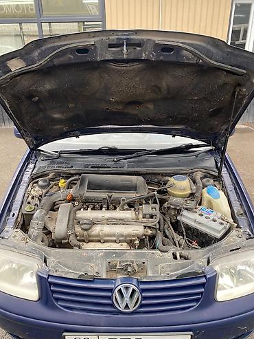 Volkswagen: Volkswagen Polo: 2000 г., 1.4 л, Механика, Бензин, Хэтчбэк — 10