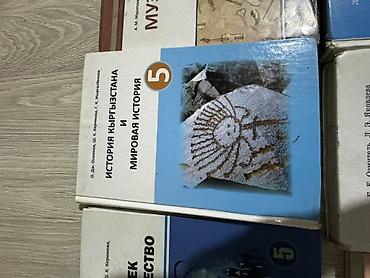 Учебники: Книга для 5 класса - Информатика, 5 - Человек и общество, 5 - История — 9