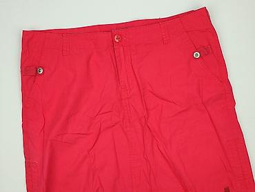 uncle sam clothes: SAM, Spódnica damska, rozmiar XL — 1