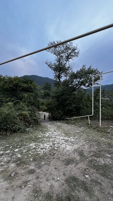 Torpaq sahələrinin satışı: 10 sot, Tikinti, Kupça (Çıxarış) — 11