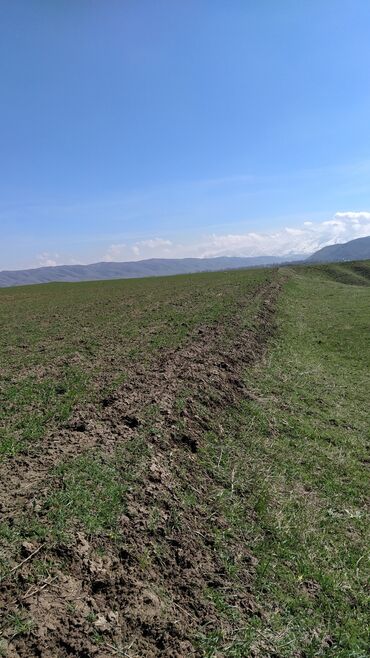 дом токмок пакрофка: 13 соток, Для сельского хозяйства, Договор купли-продажи