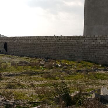 Torpaq sahələrinin satışı: 4 sot, Kənd təsərrüfatı, Barter mümkündür, Kupça (Çıxarış) -da lalafo.az — 7 Torpaq sahələrinin satışı: 4 sot, Kənd təsərrüfatı, Barter mümkündür, Kupça (Çıxarış) — 7