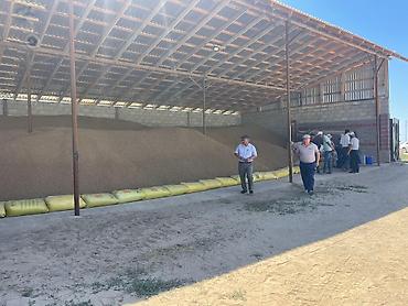 Эспарцет: Эспарцет. Семенное хозяйство Победитель. сорт: Иссык Кульский. 2 — 6