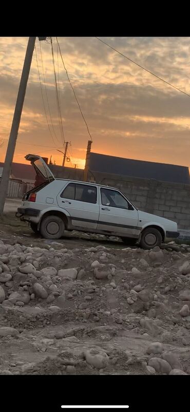 Volkswagen: Volkswagen Golf: 1989 г., 1.8 л, Механика, Бензин, Хэтчбэк